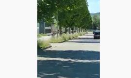 Ancora pericolo sulle strade marchigiane: camion contromano a Porto Sant'Elpidio (VIDEO)
