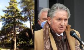 Giardini Lennon, la Giunta Pezzanesi: "Abbatteremo 12 alberi pericolosi per piantarne il doppio"