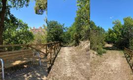 Morrovalle, al via il restyling della selva di San Francesco: sentieri di nuovo percorribili e aree pic-nic