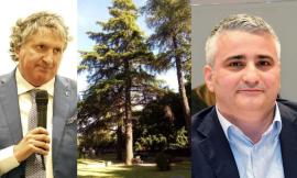Giardini 'Lennon', è bagarre per gli alberi: "No all'abbattimento, Amministrazione inadempiente"