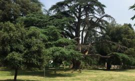 Macerata, l'Ircr riapre il centro diurno a Villa Cozza: la novità è il servizio domiciliare