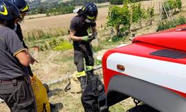 Civitanova, scompare un uomo di 94 anni: trovato senza vita in un pozzo