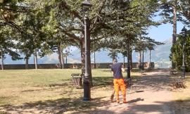 Camerino, della cura del verde si occupa chi percepisce il reddito di cittadinanza