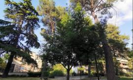 Tolentino, partono i lavori ai giardini Lennon: resteranno chiusi sino al 12 dicembre