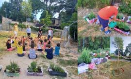 San Severino,  nuovo spazio verde per la scuola Primaria di Cesolo: gli alunni "adottano" le piantine