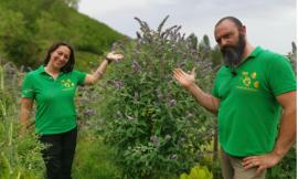 Cessapalombo, Fabiana e Patrizio festeggiano i 10 anni di gestione de "Il Giardino delle farfalle"
