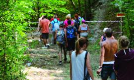 Torna la Magnalonga marchigiana: la passeggiata enogastronomica si terrà il 22 agosto