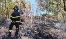 Ancora incendi a Camerino e Valfornace: preso il presunto piromane