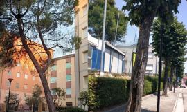 Tolentino, predisposto l'abbattimento e la sostituzione di due alberi nelle strade pubbliche