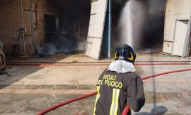 Treia, scoppia incendio in un fienile: mucche salvate dalle fiamme