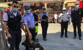 Oltre duemila persone controllate per la fiera di San Giuliano: sei multe e una denuncia