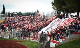 Maceratese, niente campagna abbonamenti: ingresso allo stadio con Green pass o tampone