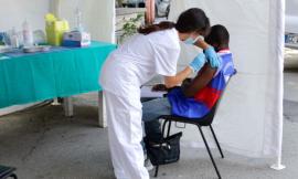 Civitanova, virus e vaccini dall'antichità ad oggi: appuntamento con il professor Staffolani