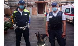 Tolentino, Festa di San Nicola nel segno del rispetto delle norme anti-Covid: 248 controllati, una sola multa