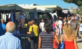 Il 19 settembre torna la fiera di Piediripa: accesso solo con il Green Pass