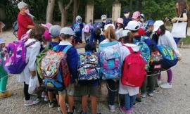Recanati, prima settimana all'insegna dei sogni alla scuola primaria San Vito
