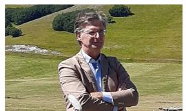 Bolognola, vitelli sbranati dal branco: "Ipotesi radiocollare per studiare i movimenti dei lupi"