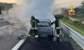 Auto divorata dalle fiamme lungo l'A14: provvidenziale intervento dei Vigili del Fuoco