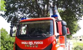 Recanati, un albero prende fuoco lungo la provinciale 77: intervengono i vigili del fuoco