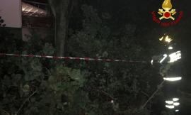 Maltempo, Marche sferzate da temporali e vento: 110 interventi dei vigili del fuoco nella notte
