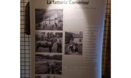 I ricordi di guerra di un giovane combattente neozelandese: mostra fotografica a Camerino