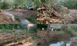 "Abbattute piante monumentali, a rischio ecosistema del fiume Potenza": l'allarme dei pescatori