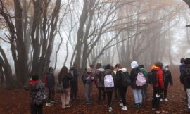Visita alla faggeta secolare di Canfaito: alunni incantati dal "Patriarca"