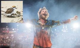 Il 'no' della Lipu al Jova Beach Party 2022: "Non sono discoteche, ma luoghi da proteggere"