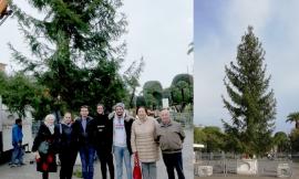 Civitanova, l'albero di Natale arriva in piazza XX Settembre: sabato l'accensione