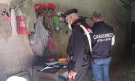 Monte San Giusto, lavoratore in nero: attività sospesa e multa di 12mila euro per due tomaifici