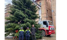 La magia del Natale a Caldarola: in piazza è arrivato l'albero