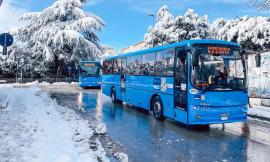 Contram, dal 6 dicembre obbligo di green pass per chi sale a bordo: previste verifiche a campione