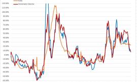 Covid, crescita costante dei casi e variante Omicron: l'analisi del virus nei grafici dell'ingegner Petro