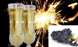 Le Marche fra Capodanno e tradizione: la storia dei 12 chicchi d’uva prima di mezzanotte