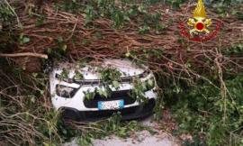 Montefano, un grosso albero cade su un'auto in transito