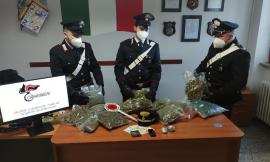 Appignano, sorpreso con tre kg di marijuana in casa: in manette pusher 36enne