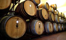 Alla scoperta del Ribona delle cantine Saputi, una delle eccellenze del territorio maceratese (FOTO e VIDEO)