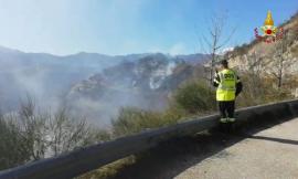 A fuoco ettari di bosco: le fiamme lambiscono una tartufaia. In azione il Canadair
