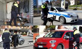 Tolentino, la Polizia Locale mette in campo il fiuto di Billy per "stanare" gli spacciatori: arrivano le multe