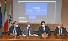 Marche, al via lo sportello per il microcredito imprenditoriale: a disposizione 8 milioni