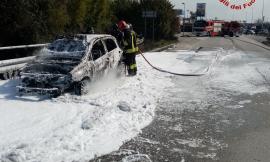 Auto divorata dalle fiamme: Vigili del Fuoco in azione, strada chiusa