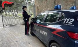 Criminalità minorile: impennata anche nelle Marche
