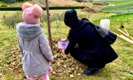"Festa dell'albero", a Montelupone tigli dedicati ai nuovi nati