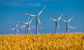 L’Italia è davvero un posto green? La fotografia del nostro Paese in un’infografica