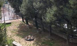 "Parco abbandonato e nel degrado più totale": la segnalazione di un cittadino di Civitanova Alta