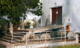 Strage discoteca: sette condanne nel processo bis a carico di gestori, proprietari e addetti sicurezza