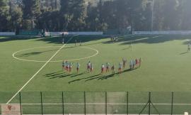 Vis Civitanova, continua la lotta per la salvezza. Un altro successo contro Bologna, battuta 2 a 0