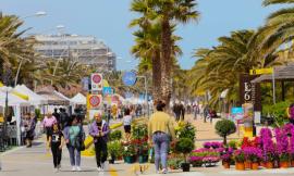 Civitanova, torna "Il Mare in Fiore": il lungomare si trasforma in un orto botanico per un weekend