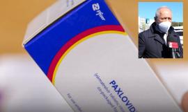 Nelle Marche arriva in farmacia il Paxlovid: basterà la ricetta medica per avere l'antivirale Covid di Pfizer
