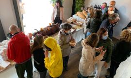 Pollenza, inaugurata l’Azienda Agricola Angeletti (FOTO)
